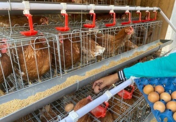 Ekonomi Warga Tumbuh, Begini Dampak Nyata Program GAYATRI di Bojonegoro