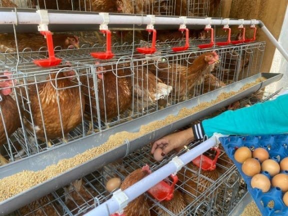 6e01e108 2531 4a83 a746 7ded71cd911c