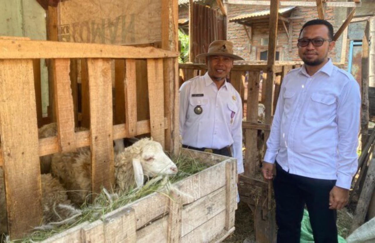 7667e5b2 166f 4bd4 a7d5 f7873d6f1459