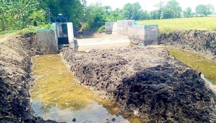 Proyek Bronjong di Karangdinoyo Bojonegoro Mandek, Warga Curiga Ada Permainan Anggaran