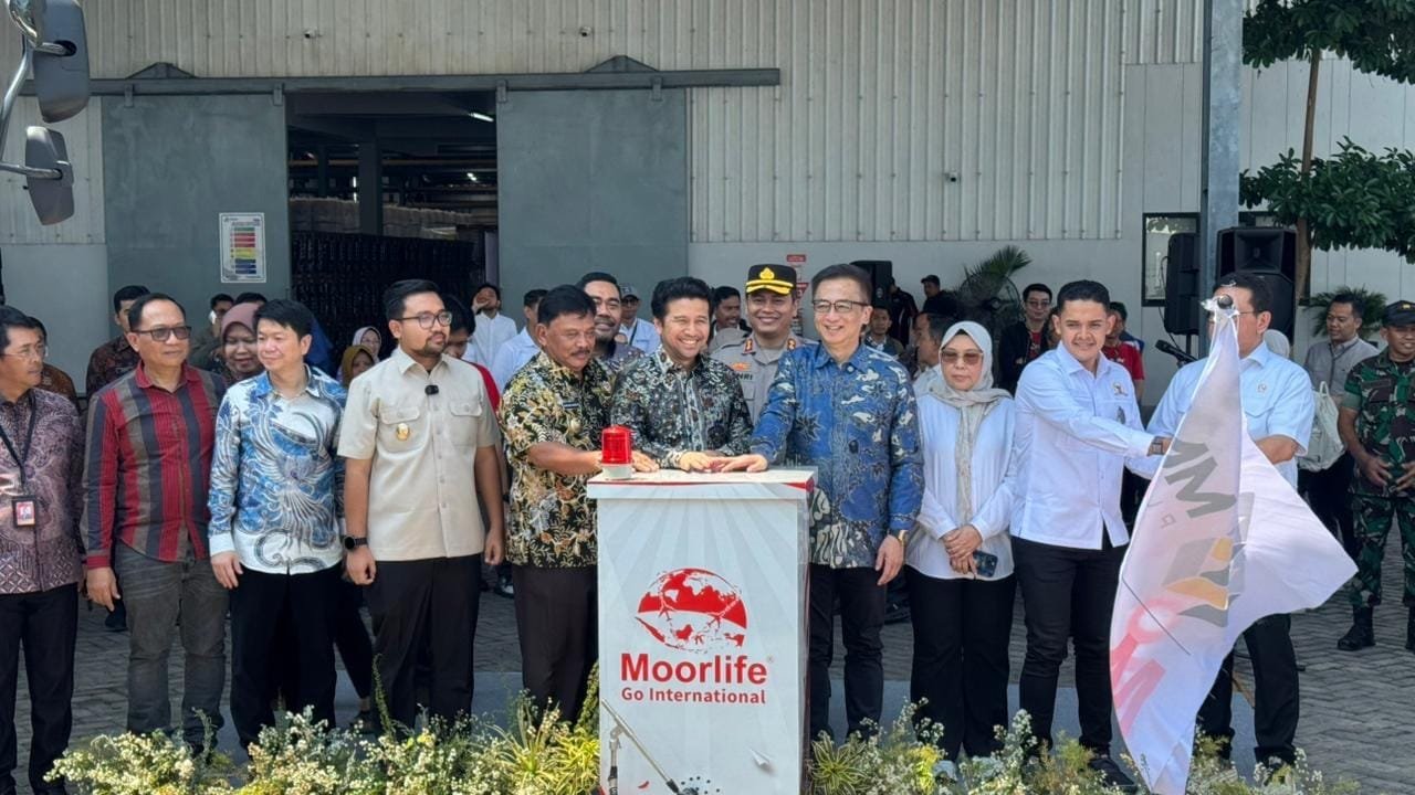 9089625c bcb2 48fc 8c5c c00aa770233b