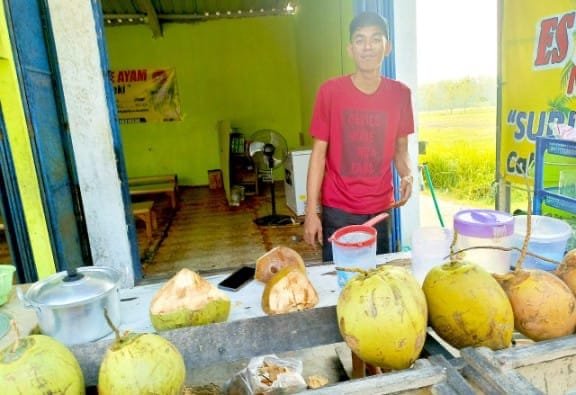 Keracunan Massal MBG di Kedungadem Bojonegoro, Penjual Kelapa Hijau Panen Rezeki