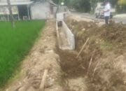 APBD Disulap Jadi Lumpur, Drainase PUPR Tuban Dikerjakan Asal-Asalan oleh PT Alaric Abadi