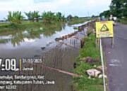 Diduga Asal Cor, Proyek TPT di Bandungrejo Tuban Dikerjakan Saat Tanah Tergenang Air
