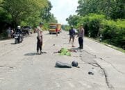 Kecelakaan Tragis di Padangan Bojonegoro: Motor vs L300, Pengendara Tewas Seketika