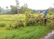 Kabel Copot, Rumah Terancam Korsleting, PLN Dituding Lalai Tangani Laporan Warga Tuban