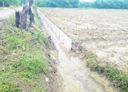 Kontraktor Ghoib, Pekerjaan U-Ditch di Tulungrejo Bojonegoro Dinilai Abal-abal