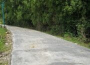 Program BKKD 2025: Desa Prangi Bojonegoro Kebagian Proyek Jalan Baru