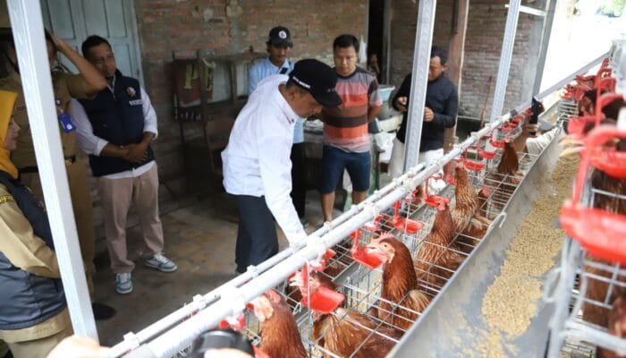Gerakan GAYATRI di Bojonegoro, Langkah Cerdas Bangun Ekonomi dari Kandang Ayam