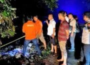 Lamongan Diguncang Misteri: Mayat Perempuan Hangus Terbakar Ditemukan di Hutan