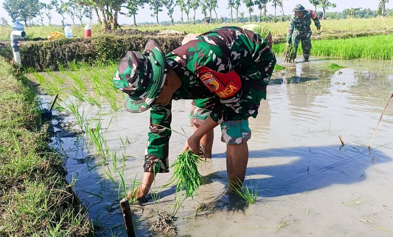 Img 20251106 wa0081 copy 1280x772