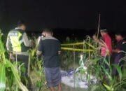 Tragis, Petani di Ngrandu Bojonegoro Ditemukan Tewas di Tengah Sawah