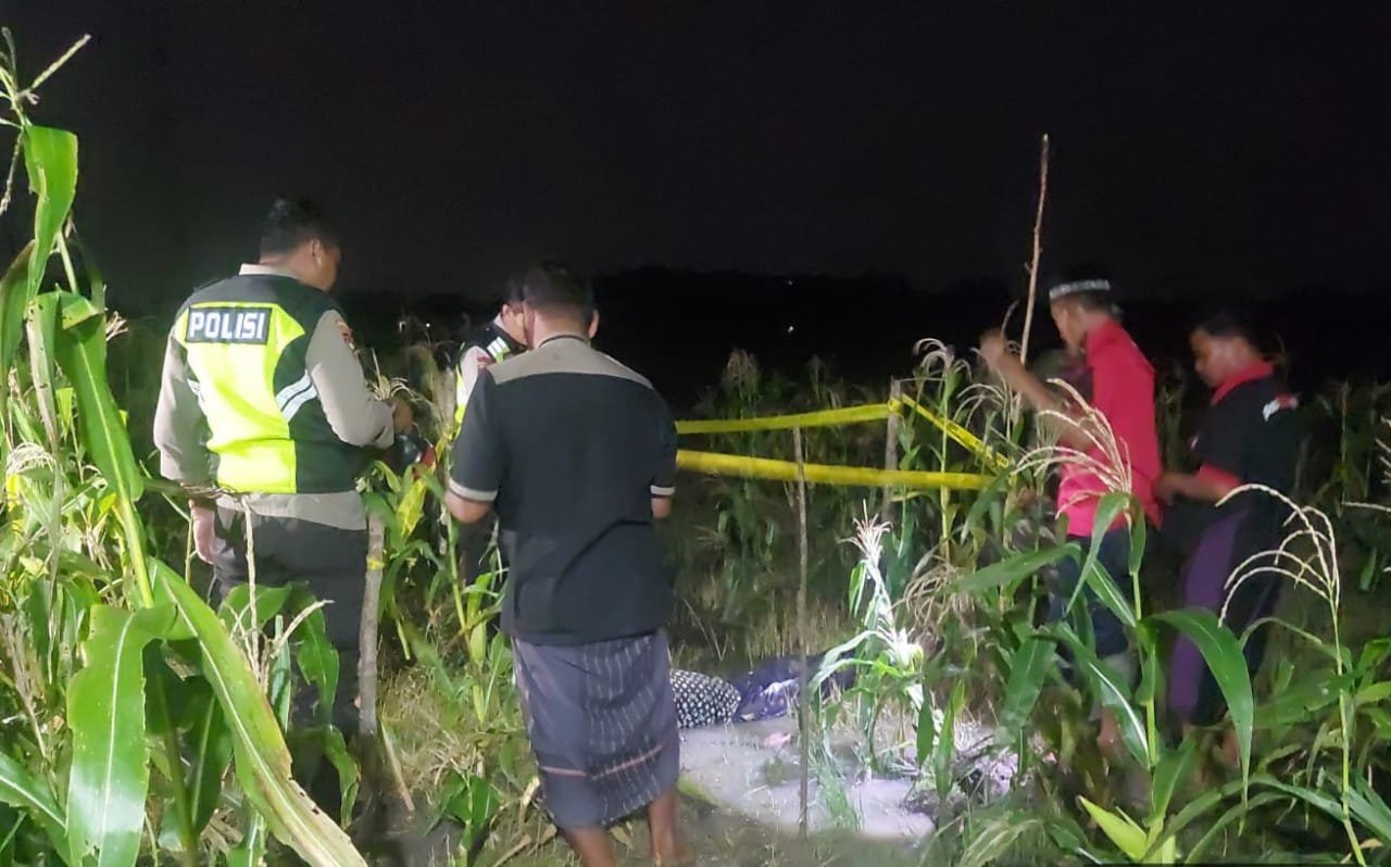 Img 20251108 wa0018 copy 1280x798