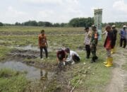 BPN Bojonegoro Ajak Warga Pasang Patok dan Stop Cekcok Soal Batas Tanah