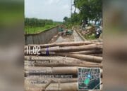 Skandal Proyek Irigasi Rengel Tuban, Pengawas Hilang, Material Dipangkas