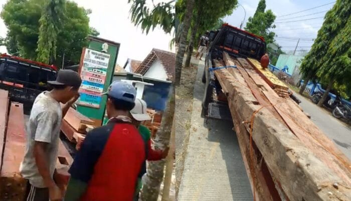 Aset Desa Jadi Ladang Bisnis, Kades Sumberjo Bojonegoro Diduga Jual Kayu Bekas Balai Desa