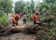 Oktober Penuh Bencana, BPBD Catat Bojonegoro Diterjang Angin, Longsor, dan Banjir