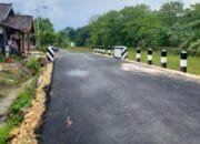 Flyover Bojonegoro Siap Dikaji, Pemerintah Mulai Analisis Kelayakan Proyek Anti Macet