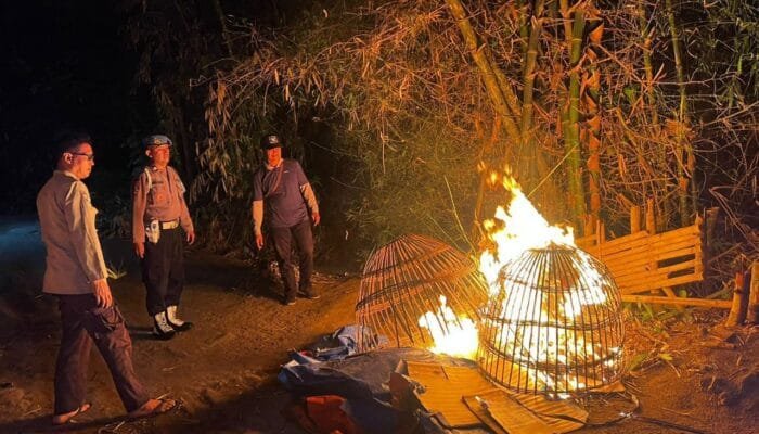 Operasi Kejut, Polsek Kepung Kediri Tumpas Sabung Ayam