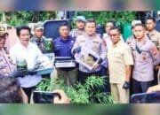 Kontrakan di Jombang Ternyata Kebun Ganja, Polisi Sita 110 Tanaman Siap Panen