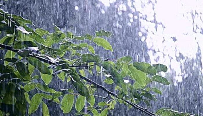 Cuaca Bojonegoro Hari Ini, Berawan dan Debit Bengawan Solo Naik