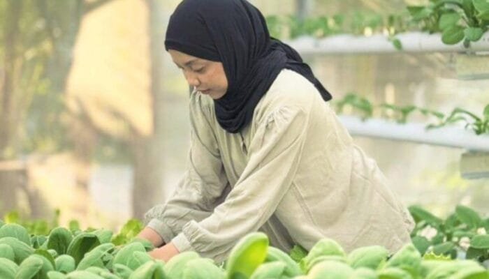 Hidroponik Jadi Solusi, Petani Muda Bojonegoro Raih Penghargaan