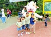 Wisata Satwa Murah Meriah, KBS Surabaya Cocok untuk Liburan Keluarga