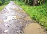 Akses Wisata dan Ekonomi Lumpuh, Jalan Sowmil Wonosobo Tanggamus Hancur