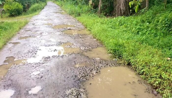 Akses Wisata dan Ekonomi Lumpuh, Jalan Sowmil Wonosobo Tanggamus Hancur
