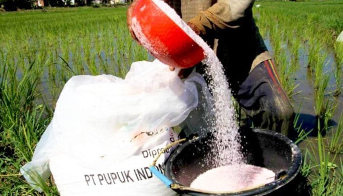 Kuota NPK Phonska Bertambah, Pupuk Subsidi Bojonegoro Melimpah