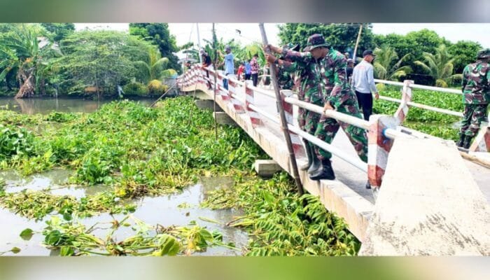 Aksi Nyata Cegah Banjir di Lamongan, Enceng Gondok Bengawan Jeru Diangkut