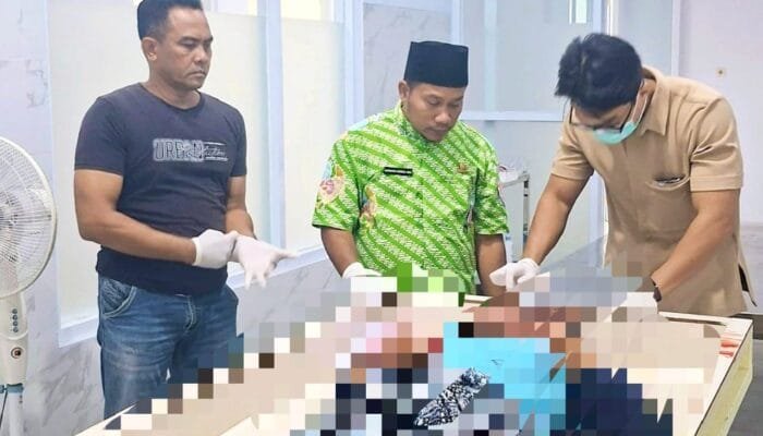 Kasus Tragis di Lamongan: Anak Kandung Meninggal, Ayah Jadi Terduga Pelaku