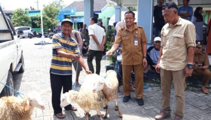 Program Domba Kesejahteraan Jadi Andalan Tingkatkan Ekonomi Warga Bojonegoro