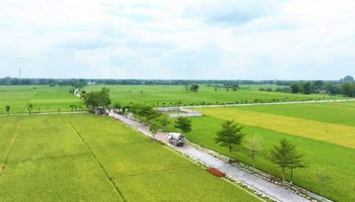 Cantik dan Fungsional, Jalan Beton Mulyoagung Bojonegoro Jadi Alternatif ke Kota