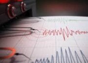 Gempa Terjadi di NTB dan Papua, BMKG Rilis Detail Magnitudo dan Kedalaman