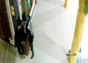 Aksi Pencurian Kotak Amal Masjid Terekam CCTV, Warga Bojonegoro Geram