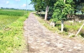 Jalan ke Makam Jadi Polemik, Dana Desa Mori Bojonegoro Diminta Diaudit