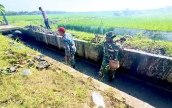 Bersih-bersih Gorong-gorong, Upaya Tiga Pilar Kalitidu Bojonegoro Cegah Banjir dan Penyakit