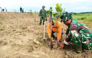 800 Pohon Produktif Ditanam di Waduk Pacal Bojonegoro