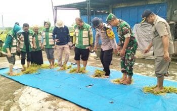 Lamongan Panen Raya, Kolaborasi Lintas Sektor Kian Solid