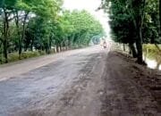 Jelang Ramadhan dan Mudik, Jalan Nasional di Bojonegoro Dikeluhkan Pengendara