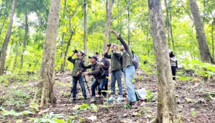 Tak Disangka, Puluhan Anggrek Langka Tumbuh di Hutan Jati Bojonegoro