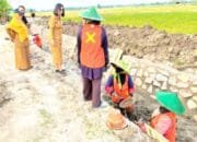 Air Lancar Panen Stabil, Strategi Pemkab Bojonegoro Dongkrak Produktivitas Petani