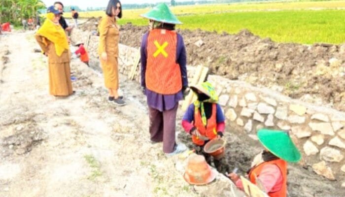 Air Lancar Panen Stabil, Strategi Pemkab Bojonegoro Dongkrak Produktivitas Petani