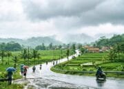 Prakiraan Cuaca Terbaru Bojonegoro: Angin Menguat Siang Hari