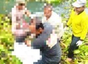 Kolam Tertutup Tanaman Air Jadi Lokasi Penemuan Bocah Kediri Yang Hilang