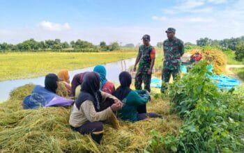 TNI Hadir di Tengah Petani, Sarirejo Lamongan Siap Musim Tanam Baru