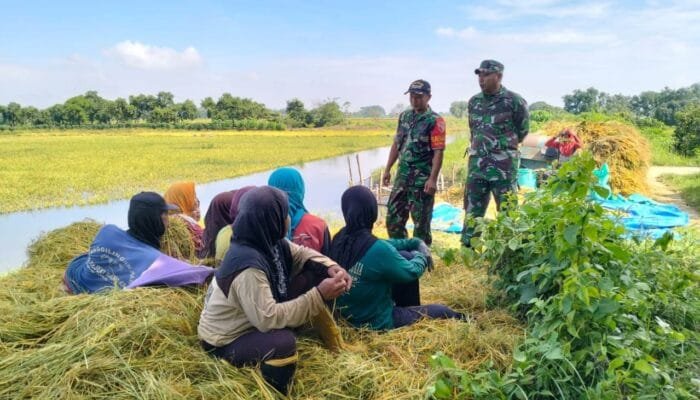 TNI Hadir di Tengah Petani, Sarirejo Lamongan Siap Musim Tanam Baru