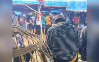 Lapak Sabung Ayam Bangorejo Banyuwangi Diserbu Penjudi, Publik Pertanyakan Tugas Polisi