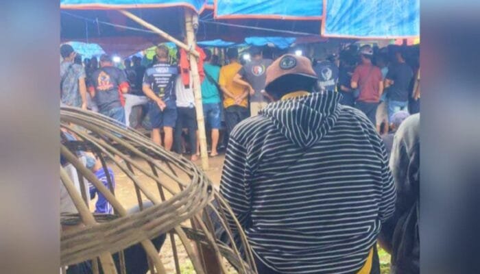Lapak Sabung Ayam Bangorejo Banyuwangi Diserbu Penjudi, Publik Pertanyakan Tugas Polisi